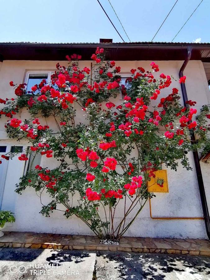 Modern&Cozy Bosnian House With Garden+Free Parking Hotel SJJ Exterior photo