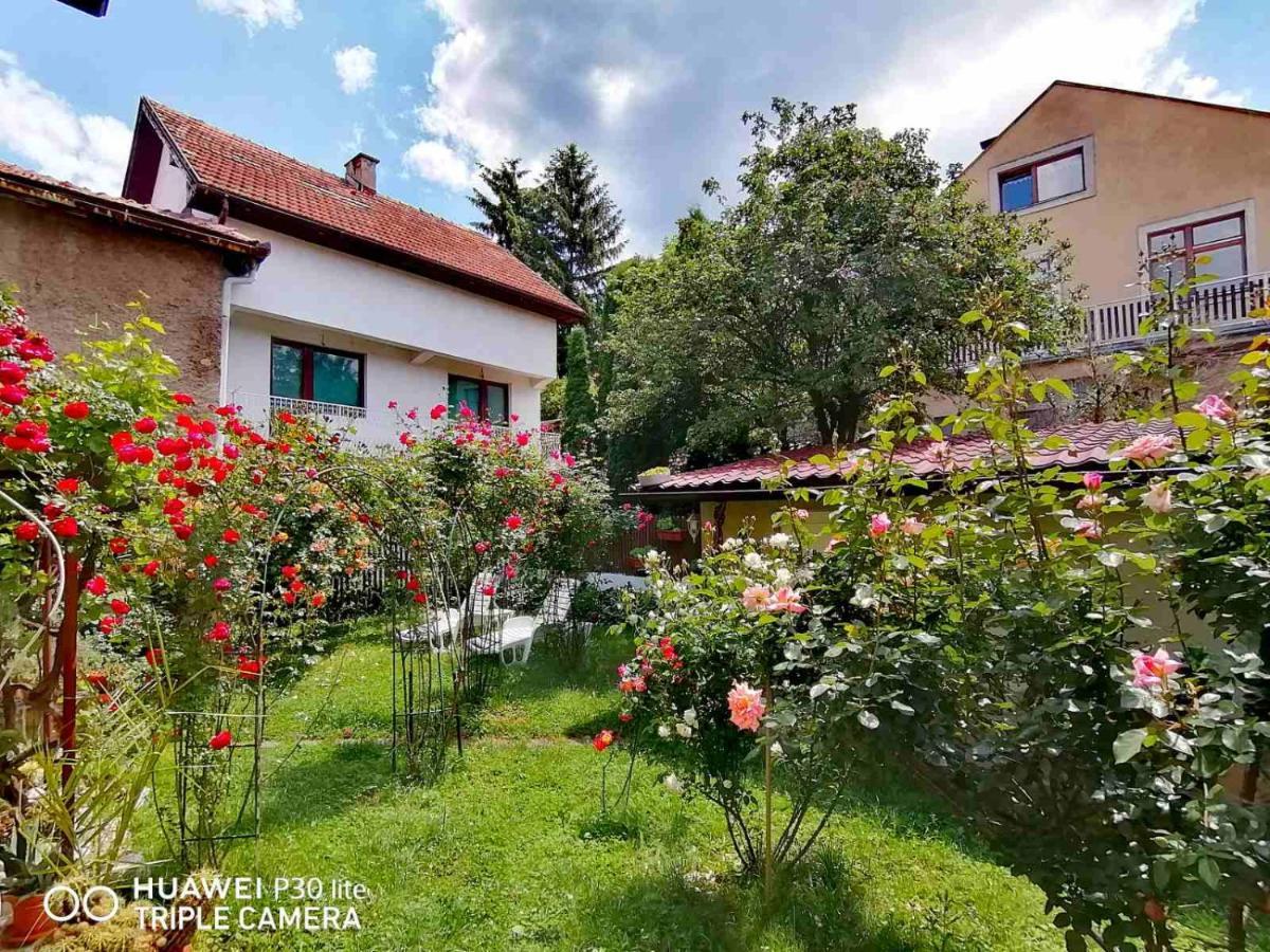 Modern&Cozy Bosnian House With Garden+Free Parking Hotel SJJ Exterior photo