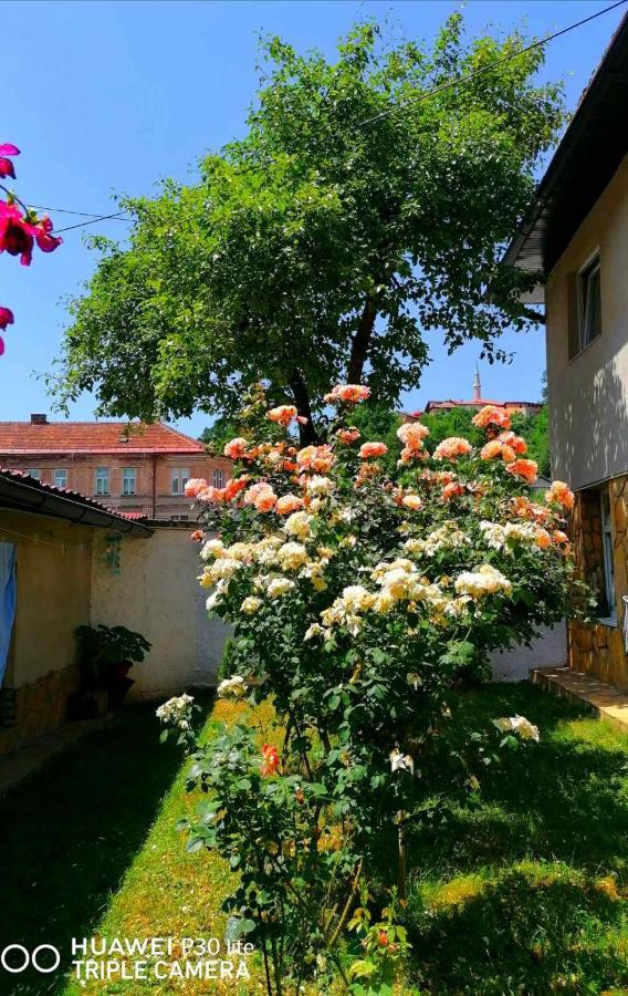 Modern&Cozy Bosnian House With Garden+Free Parking Hotel SJJ Exterior photo