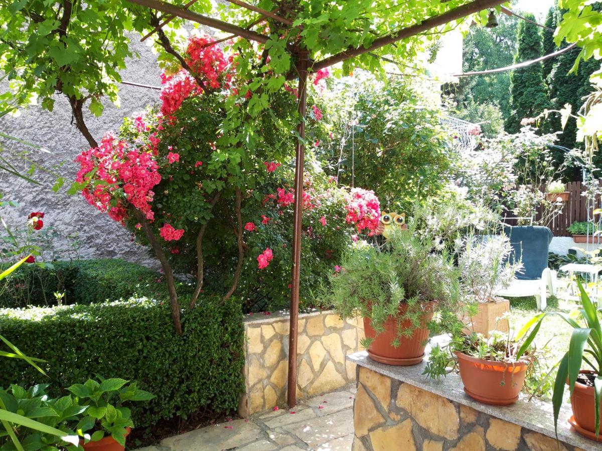 Modern&Cozy Bosnian House With Garden+Free Parking Hotel SJJ Exterior photo