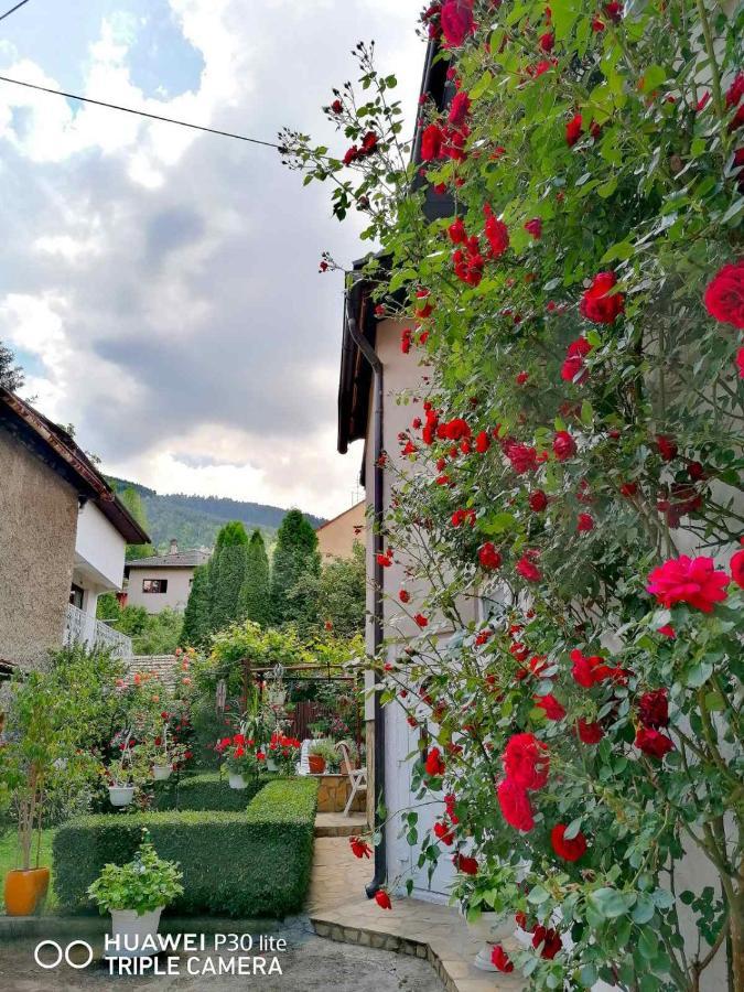 Modern&Cozy Bosnian House With Garden+Free Parking Hotel SJJ Exterior photo