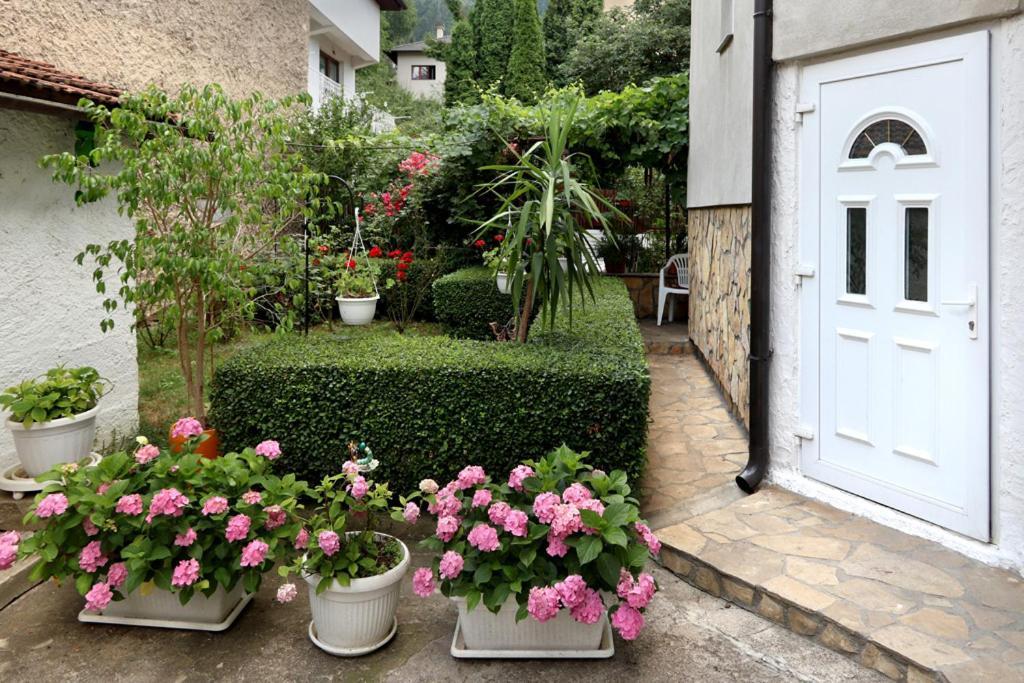 Modern&Cozy Bosnian House With Garden+Free Parking Hotel SJJ Exterior photo