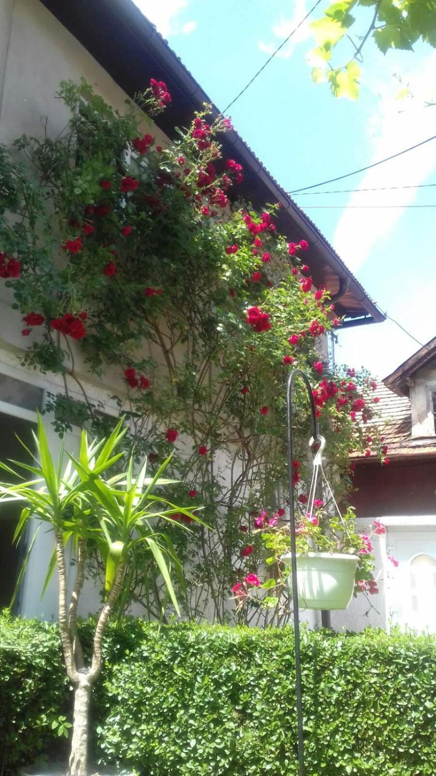 Modern&Cozy Bosnian House With Garden+Free Parking Hotel SJJ Room photo