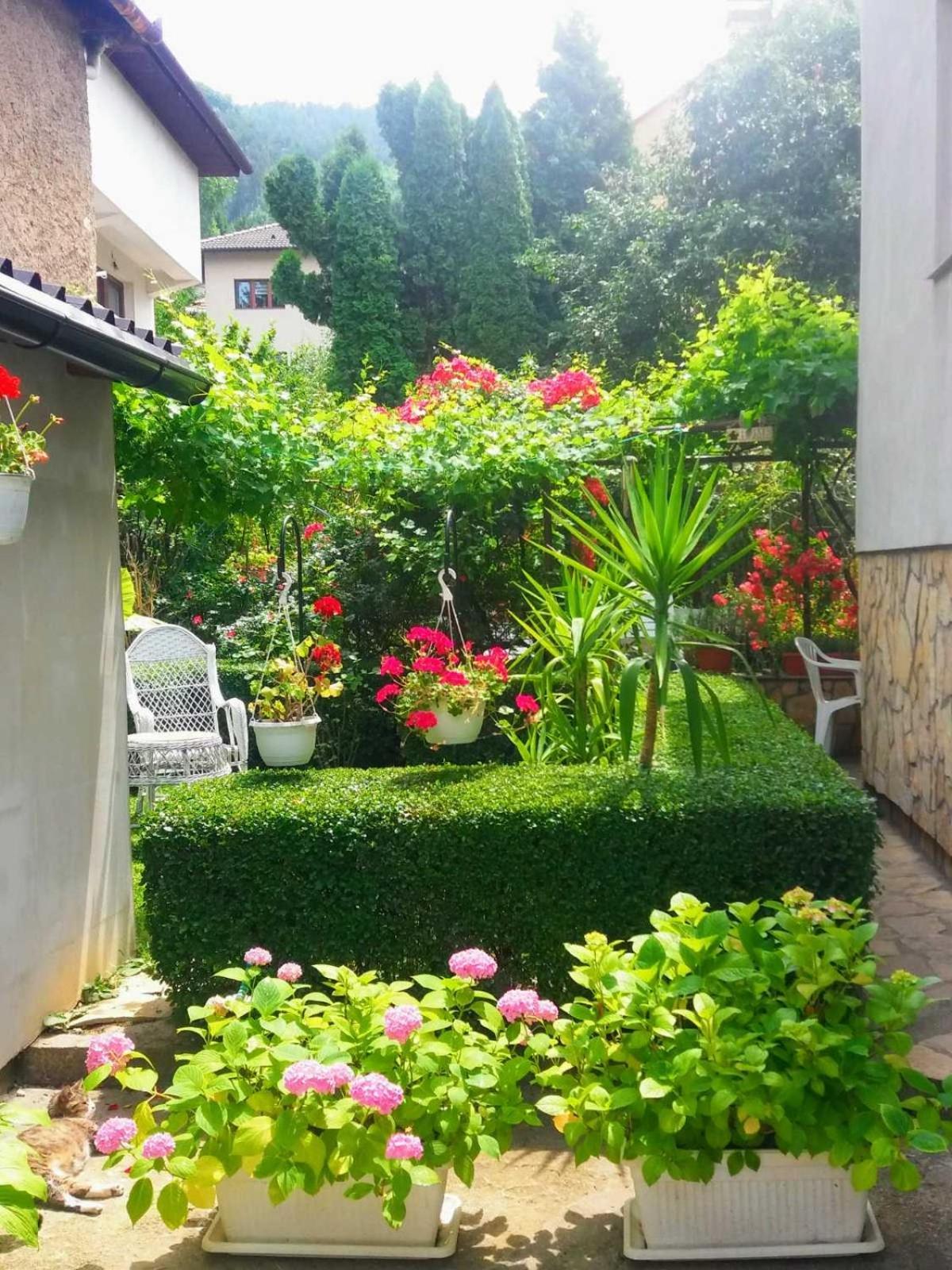 Modern&Cozy Bosnian House With Garden+Free Parking Hotel SJJ Room photo