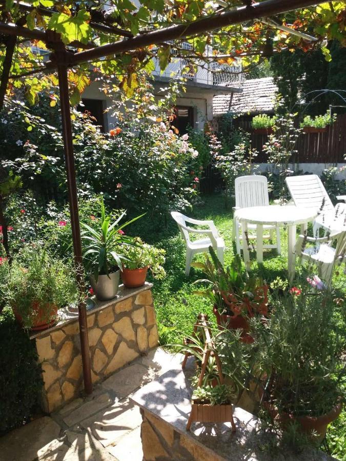 Modern&Cozy Bosnian House With Garden+Free Parking Hotel SJJ Exterior photo